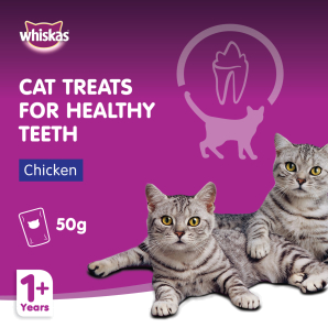 Whiskas Dentabites - 50g Pets