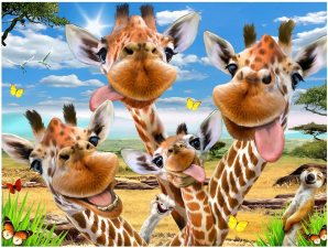 GIRAFFE SELFIE 48 PCS