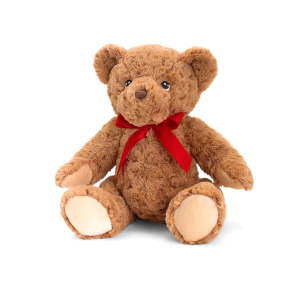 25cm Keeleco Teddy