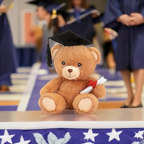 15cm Keeleco Graduation Bear