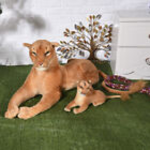 45cm soft lion