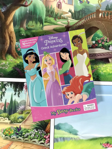 Disney Princess Great Adventure My Busy Books