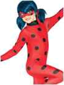 Ladybug costume medium