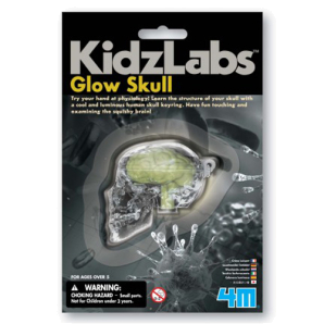 4M kidzlabs glow skull