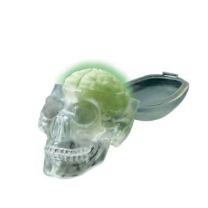 4M kidzlabs glow skull