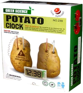 4M potato clock