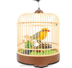 Beautiful bird in cage